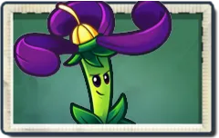 Nightshade